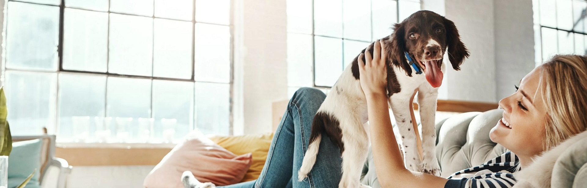 Eine Person genießt die Vorteile der DEW-Arbeitswelt mit ihrem Hund auf der Caoch