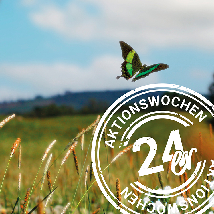 Die DEW21 Aktionswochen24.