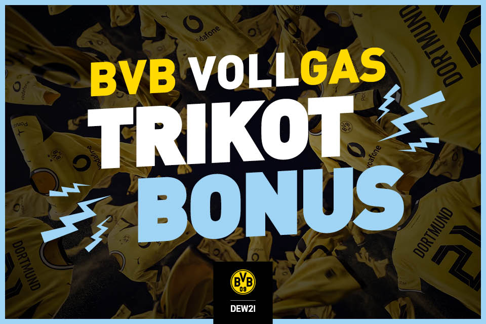Der BVB Gasarif von DEW21.