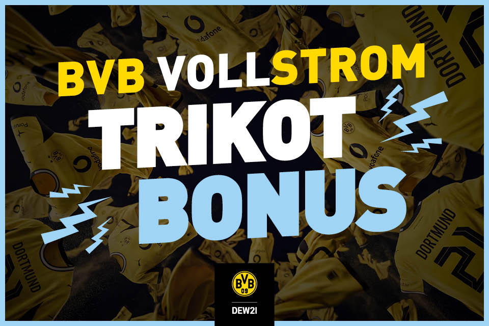 Der BVB Stromtarif von DEW21.
