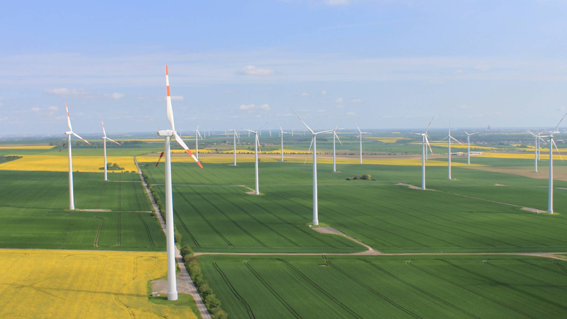 Windpark auf Feldern