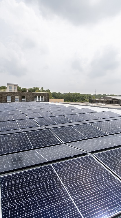 Solarmodule auf einem Dach, Gebäude und Bäume im Hintergrund.
