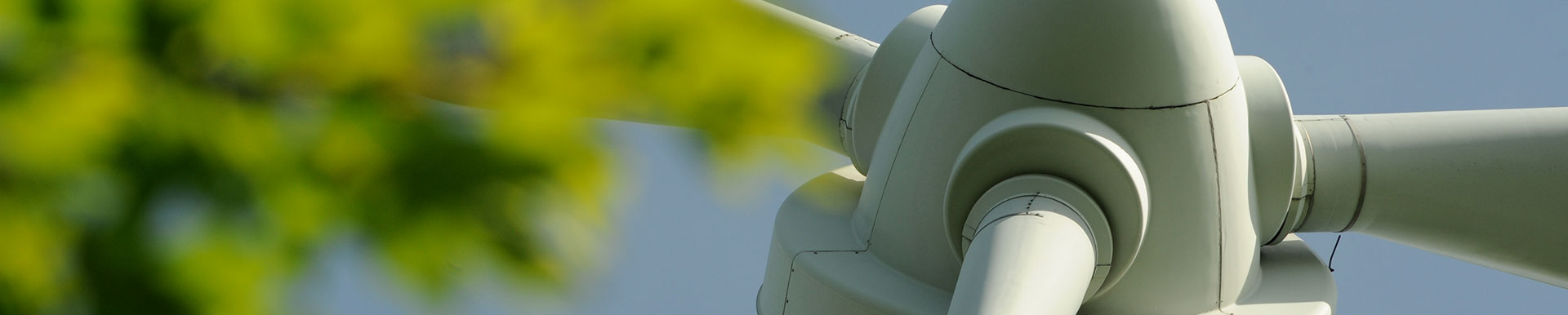 Windturbine mit Blättern im Vordergrund