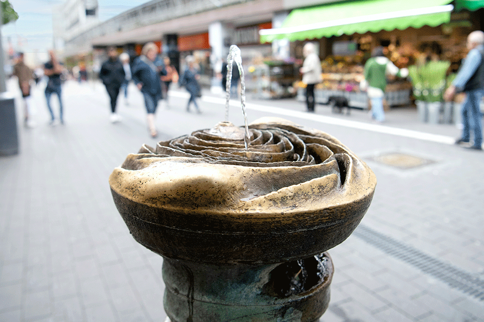 Wasserbrunnen in dortmund in form einer rose