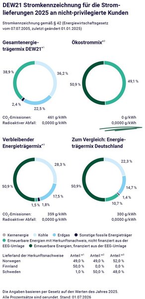 Die Stromkennzeichnung von DEW21.