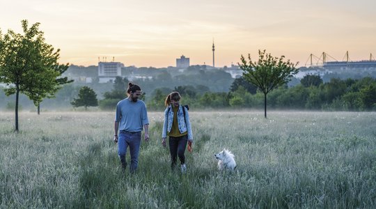Spaziergang im hohen Gras – Dortmunds Skyline im Hintergrund