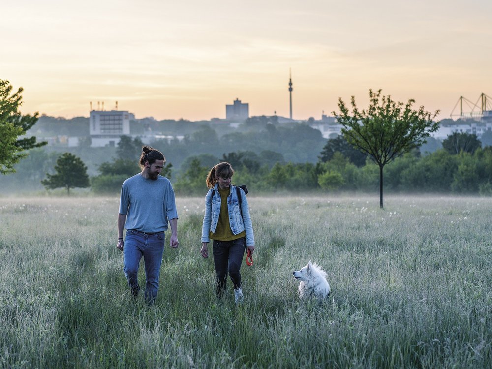 Spaziergang im hohen Gras – Dortmunds Skyline im Hintergrund