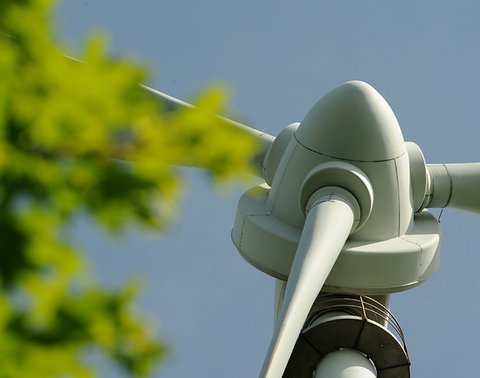 Windturbine mit Blättern im Vordergrund