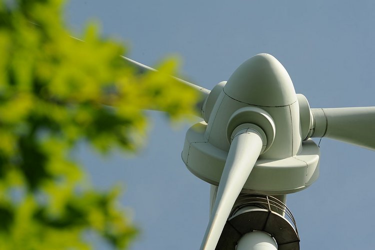 Windturbine mit Blättern im Vordergrund