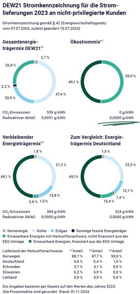 Die Stromkennzeichnung von DEW21.