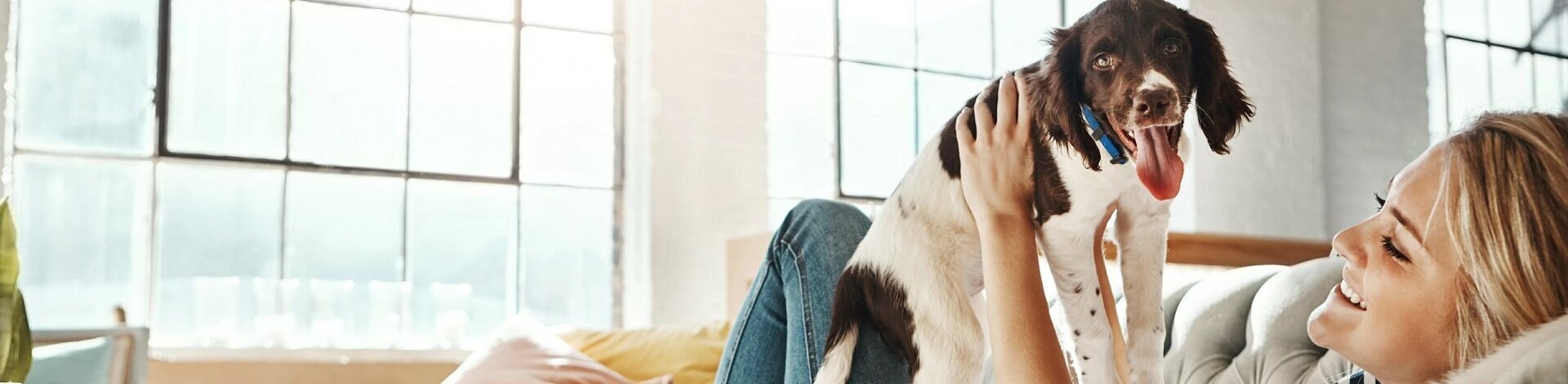 Eine Person genießt die Vorteile der DEW-Arbeitswelt mit ihrem Hund auf dem Sofa