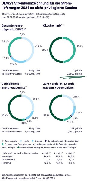 Die Stromkennzeichnung von DEW21.