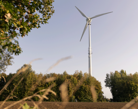 Windturbine in offenem Feld, Bäume im Hintergrund, klarer Himmel, Pflanzen im Vordergrund.