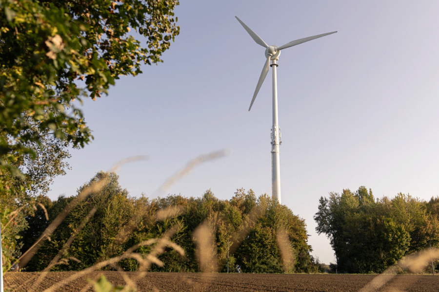 Windturbine in offenem Feld, Bäume im Hintergrund, klarer Himmel, Pflanzen im Vordergrund.