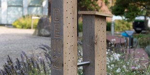 Holzstruktur mit vertikalem Text 'DEW21', Pflanzen und Blumen im Hintergrund.
