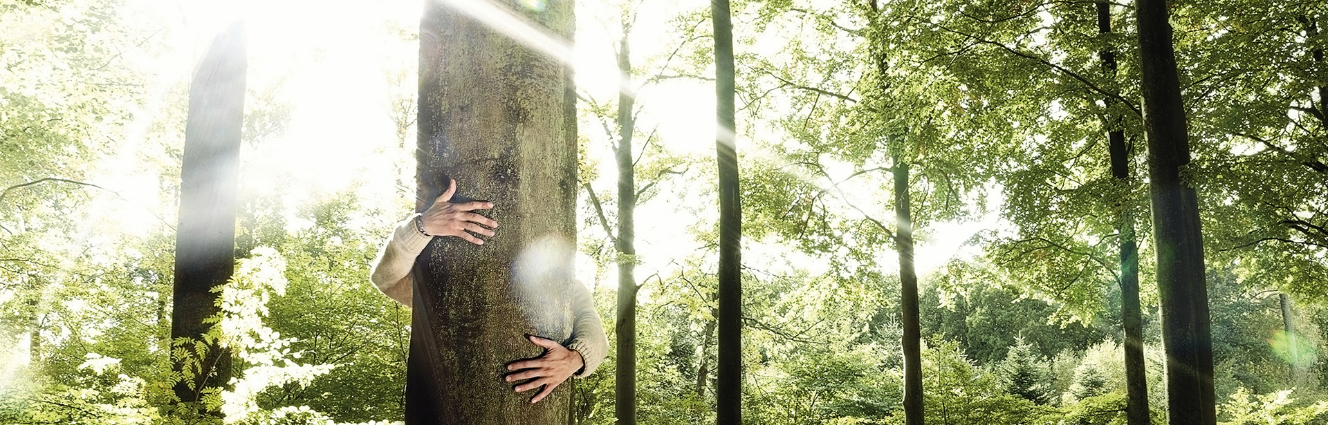 Ein Mensch umarmt einen Baum - Unsere Kampagne für mehr an Morgen denken.